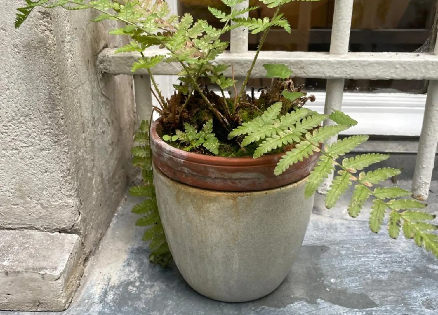 Cozy Near Marais On Rue Trousseau